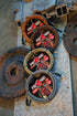 Pig Hog "Gold Ingot" Instrument Cable, 20ft Right Angle