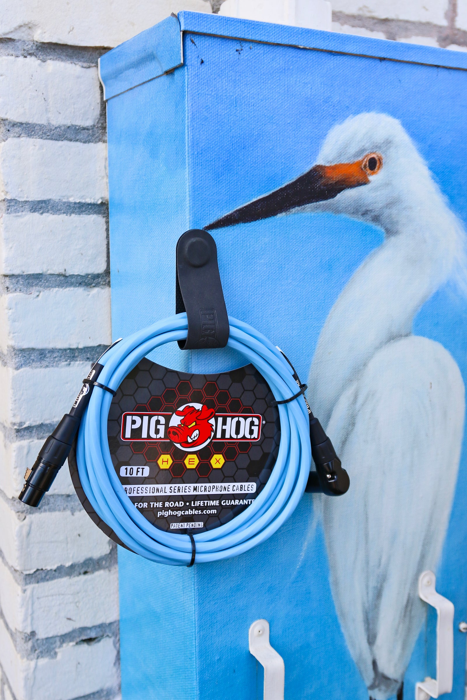 Pig Hog Hex Series Right Angle Mic Cable, 10ft - Daphne Blue