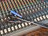 Pig Hog 10ft Speaker Cable, Speakon to 1/4”