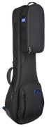 RB Expedition Banjo Case