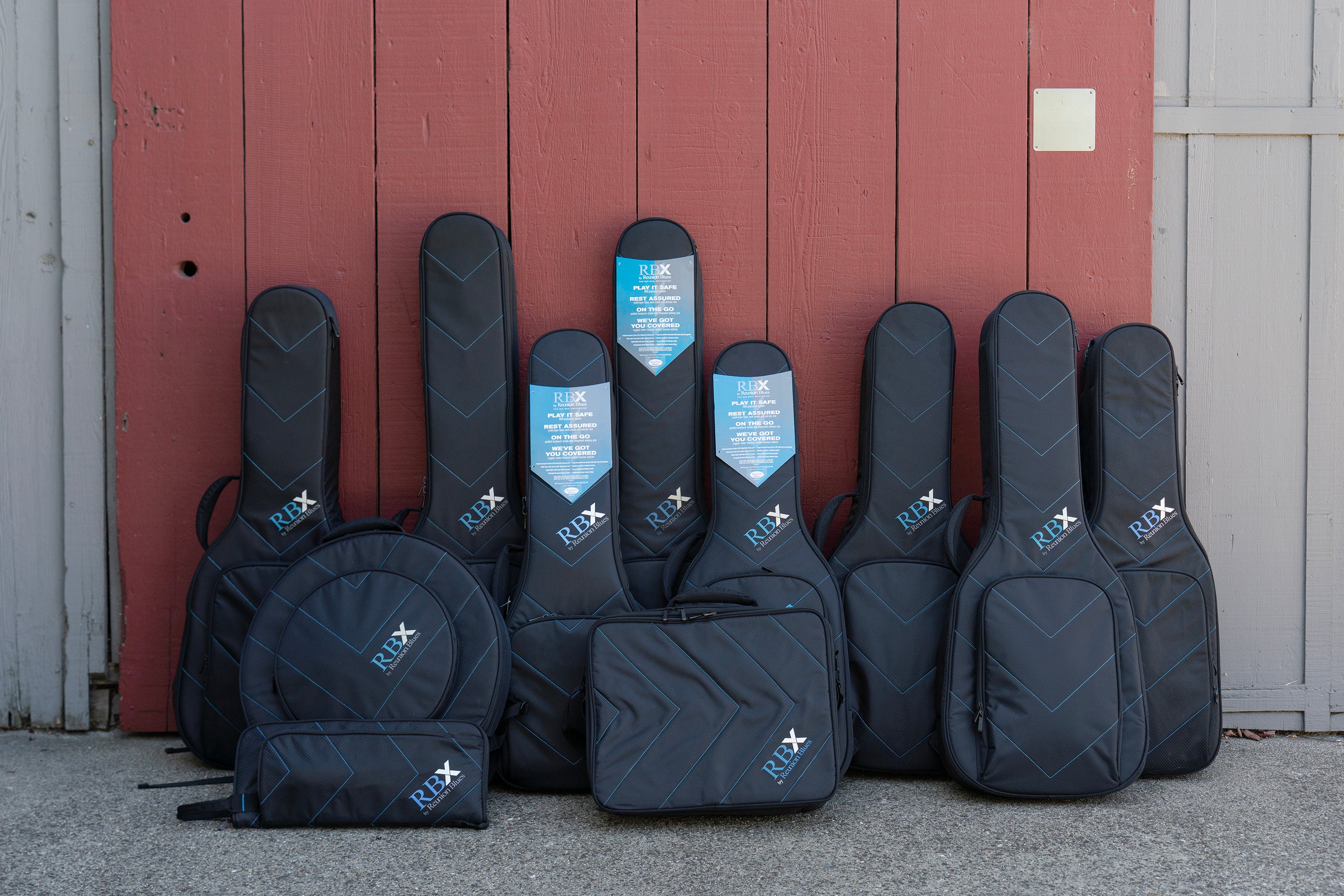 RBX Acoustic Dreadnought Gig Bag