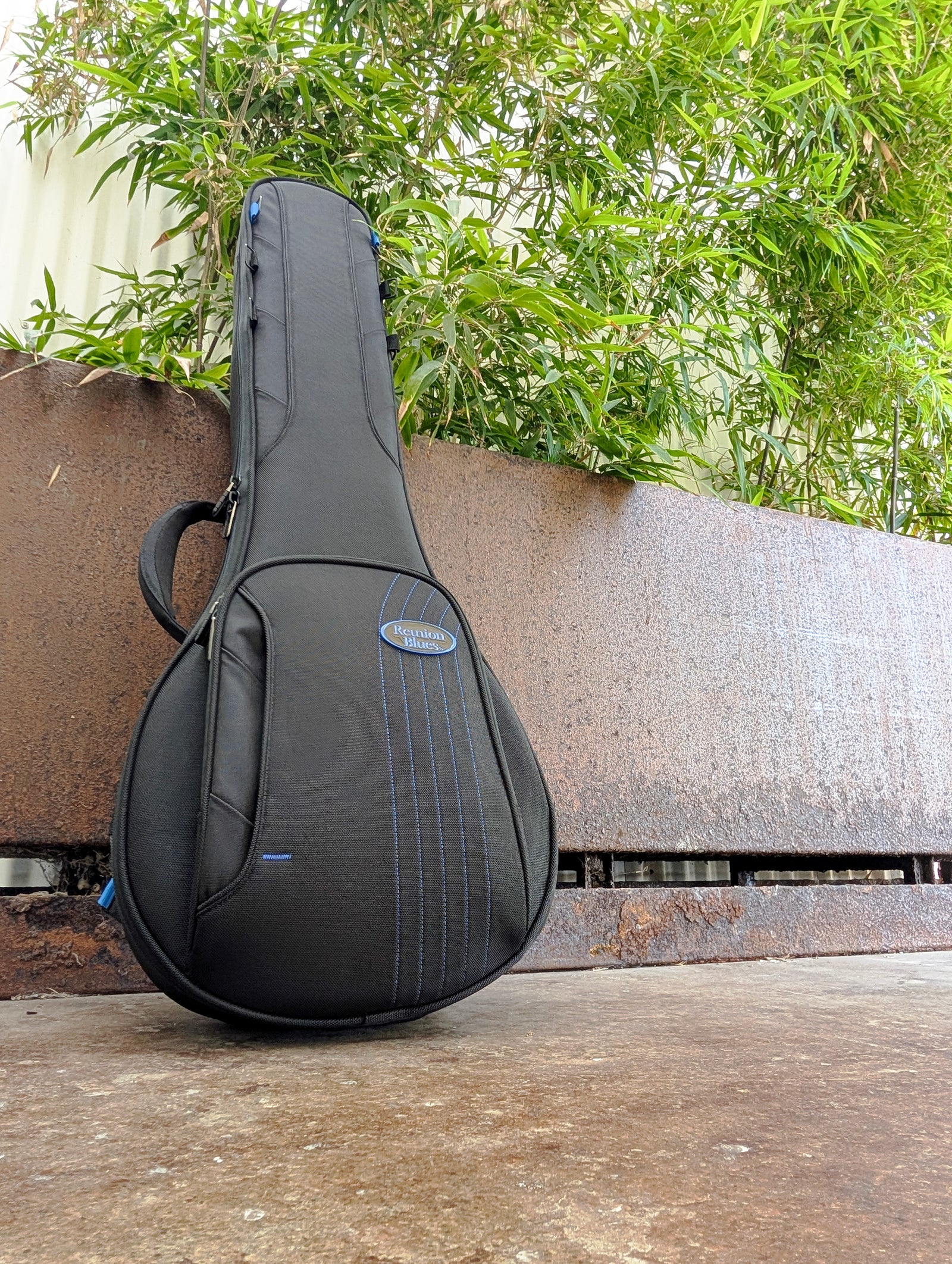 RB Expedition Banjo Case