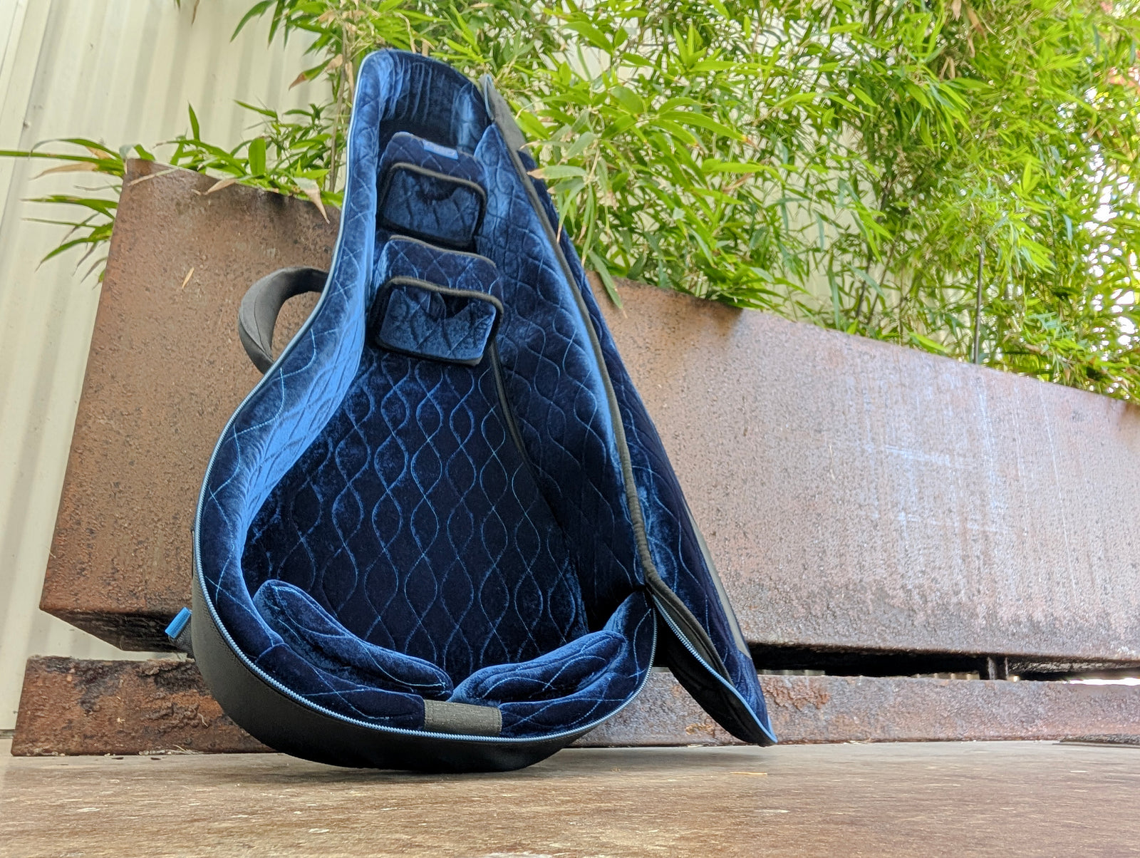 RB Expedition Banjo Case