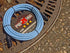 Pig Hog Hex Series Mic Cable, 20ft - Daphne Blue