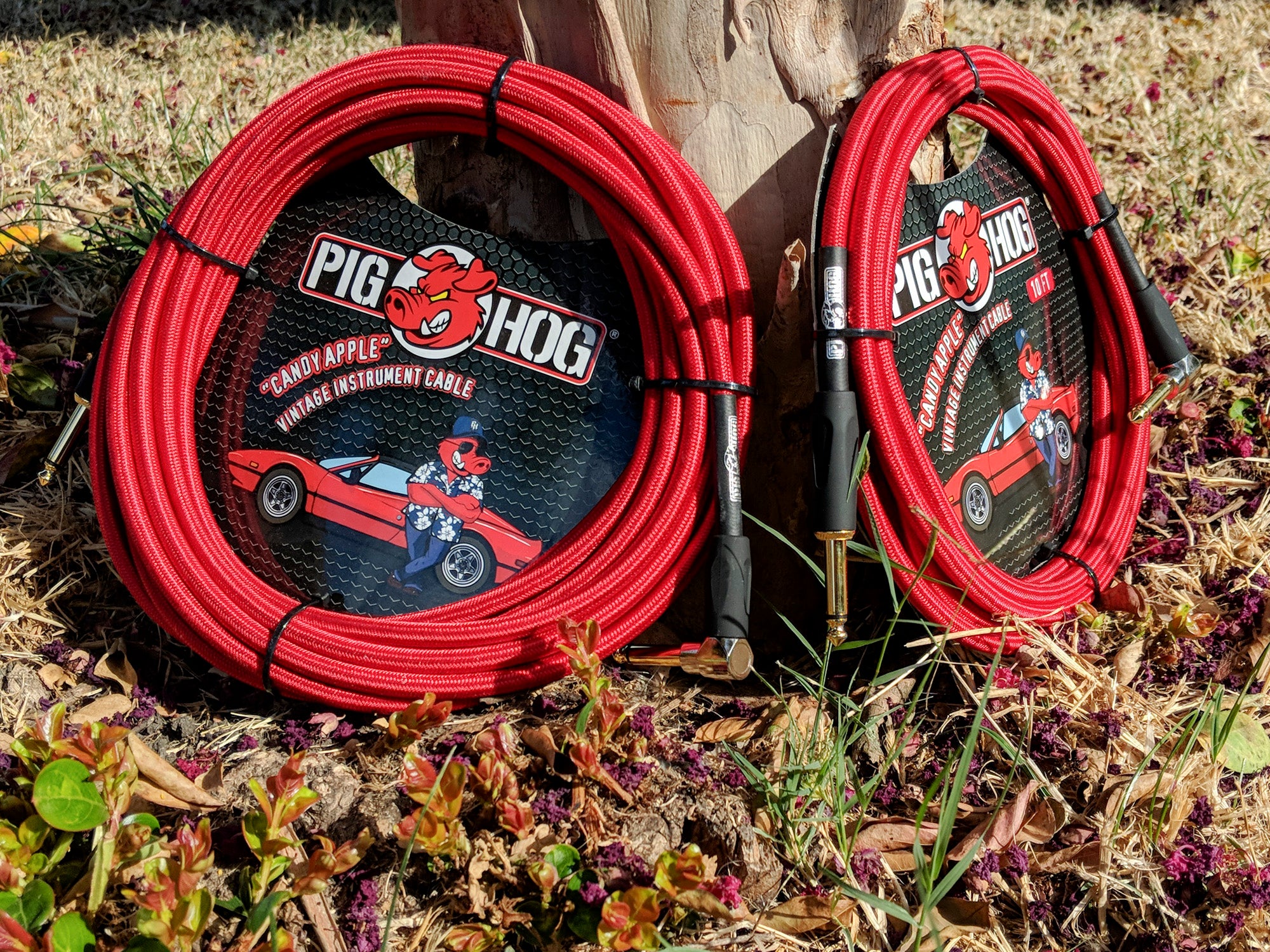 Pig Hog "Candy Apple Red" Instrument Cable, 10ft. Right Angle