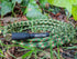 Pig Hog "Camouflage" Instrument Cable, 10ft Right Angle